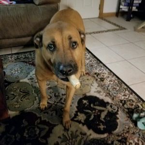 Meet your Posher, Patricia